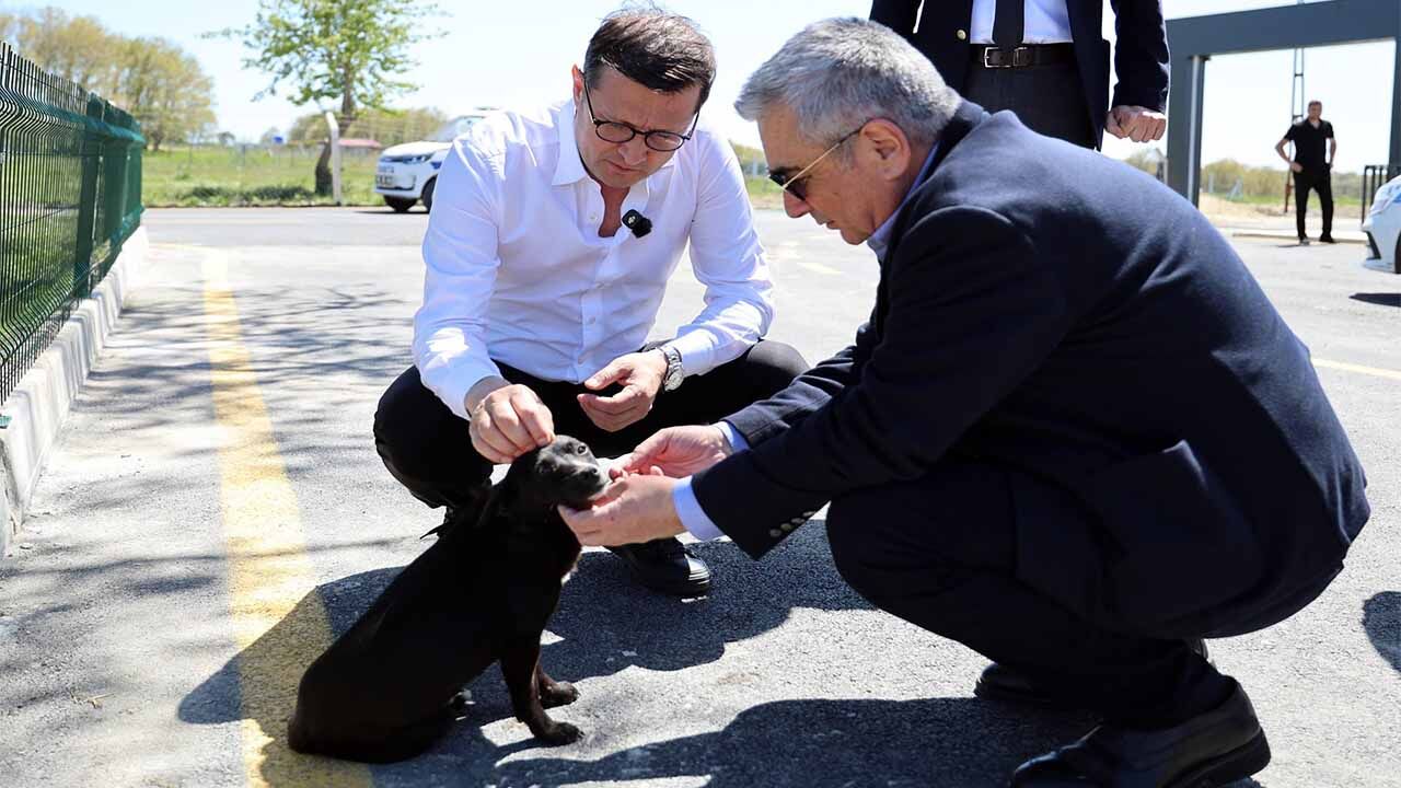 Hayvan Bakım Merkezi