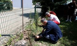 Gezmek için geldikleri Edirne'ye "yeşil bir hatıra" bıraktılar