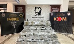 266 kilo 489 gram skunk ele geçirildi