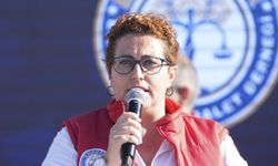 EMADDER "kademeli emeklilik" talebiyle miting düzenlendi