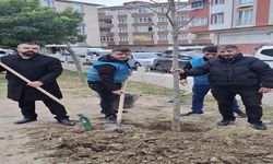 MHP’liler Alparslan Türkeş Parkı’nda fidanları toprakla buluşturdu