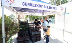 Kabir ziyaretleri için çiçek dağıtıldı
