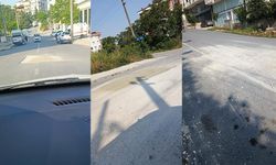 Çukur tepkisi