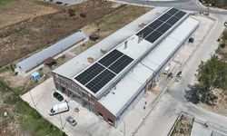 Halk ekmek hem ekmek hem elektrik üretecek