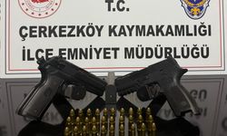 Çiftlikten tabancalar çıktı
