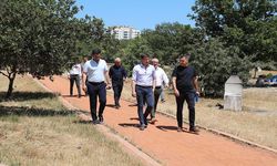 Tepe Piknik Alanındaki tuvaletler yenilenecek