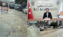 Barkın: Yazıklar olsun