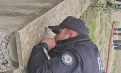 Polis memuru güvercine kalp masajı ve suni teneffüs yaptı