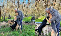 Günün en güzel fotoğrafı