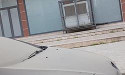 Tozla yaşam mücadelesi