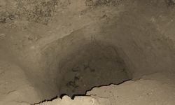 Define avcıları yakalandı