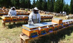 Büyükşehir’den arıcılara malzeme desteği