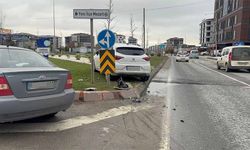 Otomobil refüje çıktı