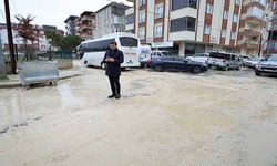 Başkan Akay çıldırdı: Küfür yemekten bıktım