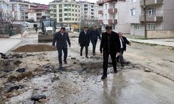 Akay: Sürecin en kısa sürede tamamlanmasını temenni ediyoruz