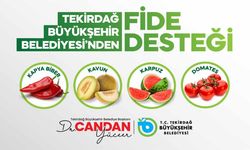 Tekirdağ’da sebze üretimine büyükşehir desteği