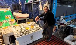 Çerkezköy’de Hamsinin Kilosu 100 TL