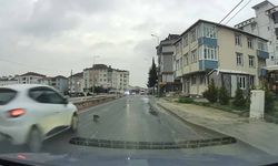 Otomobil kediye çarptı