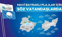Mavi bayraklı plaj anketi