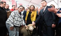 Trakya’nın ilk küçükbaş hayvancılık festivali başladı