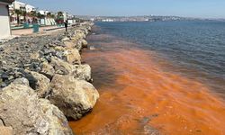 Renk değişiminin nedeni belli oldu