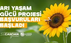 Arı yemi desteği başvuruları başladı