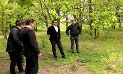 Çerkezköylülere yeni bir nefes alanı