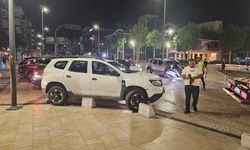 Yunusları görünce paniğe kapıldı, mantara çarptı