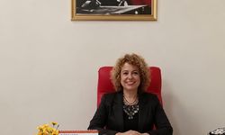 "Bizim şovmenlerle işimiz olmaz"