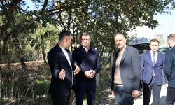 Kır kahvesi ve Kır lokantası 2027 baharında hizmete açılacak.