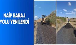 Naip Baraj yolu yenilendi