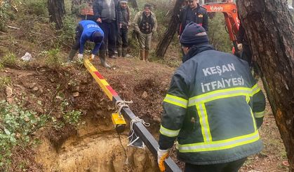 Çukura düşen keçiler kurtarıldı