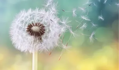 Çocuklarda polen alerjisi alarmı