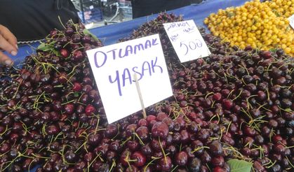 "Otlamak yasak" etiketine tepki