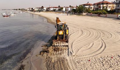 Büyükşehirden sahil temizliği