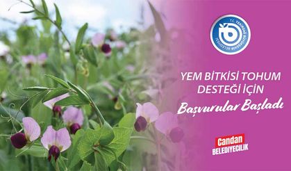 YEM BİTKİSİ TOHUM DESTEĞİ İÇİN BAŞVURULAR BAŞLADI