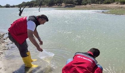 Kızılpınar Göleti’ne 15 bin adet balık bırakıldı