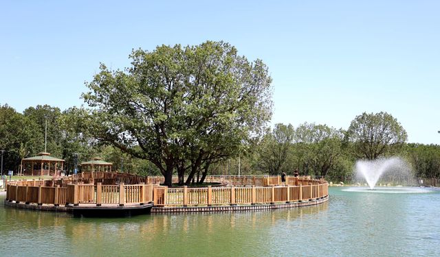 Kocameşe Piknik Alanına gölet