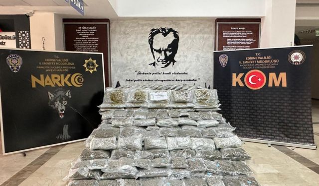 266 kilo 489 gram skunk ele geçirildi