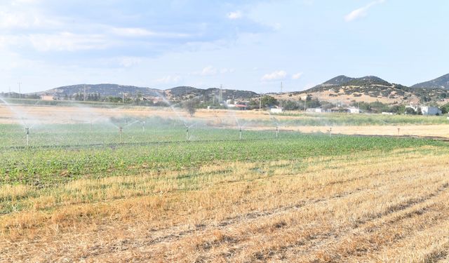 30 bin dekar arazi daha sulamaya açıldı