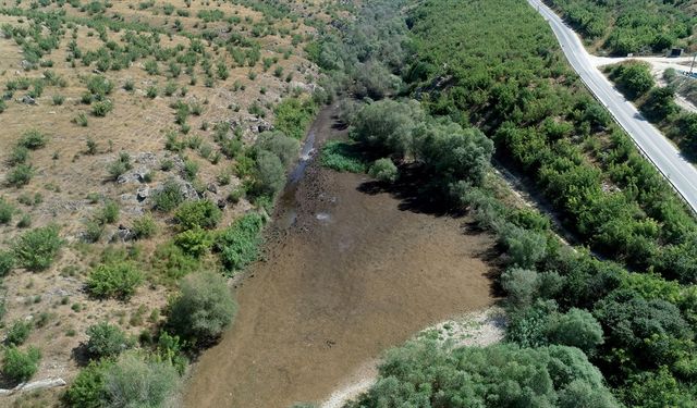 Aşırı sıcaklar Teke Deresi'ni susuz bıraktı