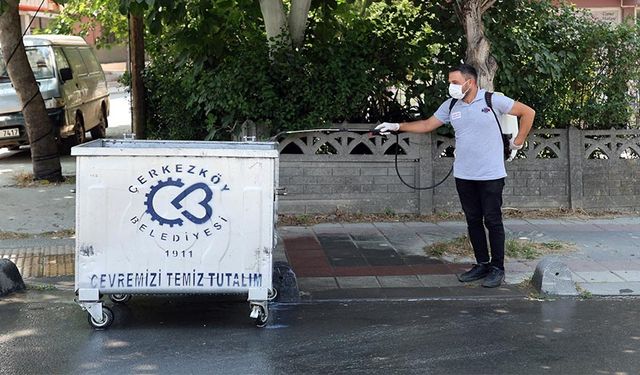 Çöp konteynerleri yıkanıp, ilaçlandı