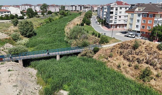 Koku ve yabani otlar yaşamı zorlaştırıyor