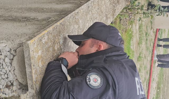 Polis memuru güvercine kalp masajı ve suni teneffüs yaptı