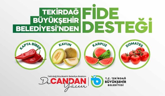 Tekirdağ’da sebze üretimine büyükşehir desteği