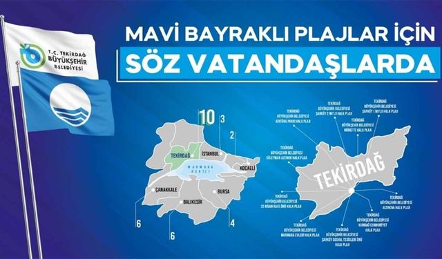 Mavi bayraklı plaj anketi