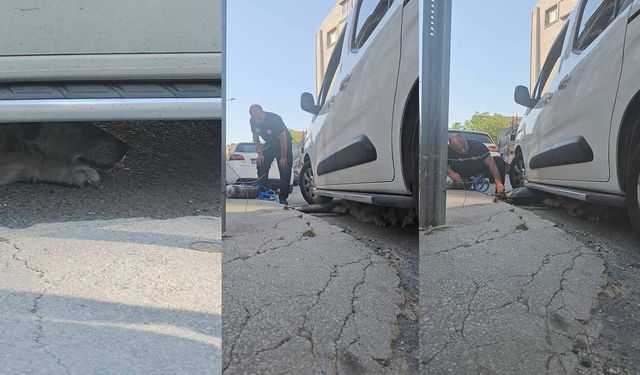 Aracın altında sıkışan köpeği itfaiye kurtardı