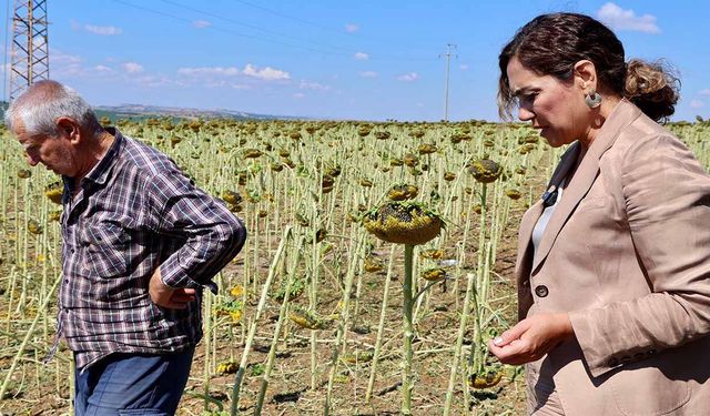 Başkan Yüceer: Üreticimizin emeğini yerde bırakmayacağız