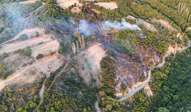 Büyükşehir'den yangına hızlı müdahale