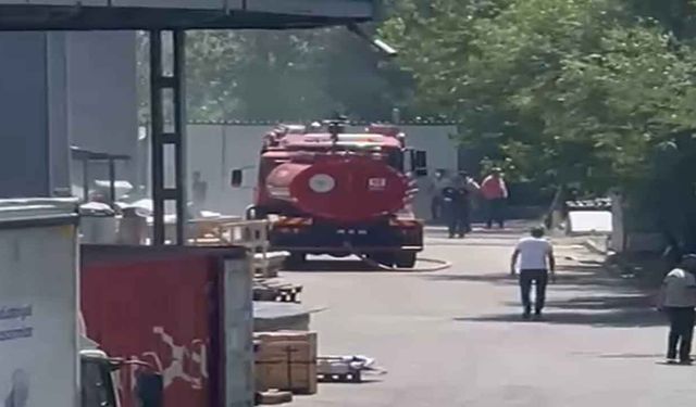 Fabrika bahçesinde başlayan yangın dış cepheye sıçradı